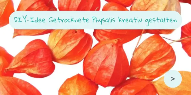 DIY Getrocknete Physalis kreativ gestalten DIY Getrocknete Physalis kreativ gestalten
